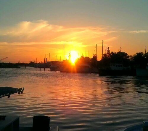 IMAG0653-1-1.jpg image