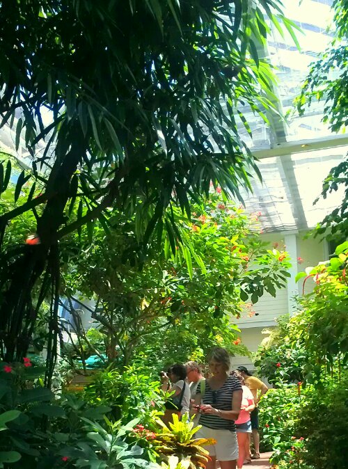 IMAG0669-1-1.jpg image