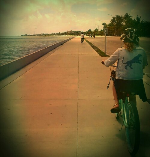 IMAG0677-1-1.jpg image