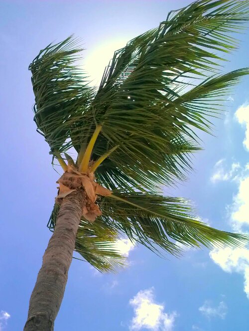 IMAG0680-1-1.jpg image