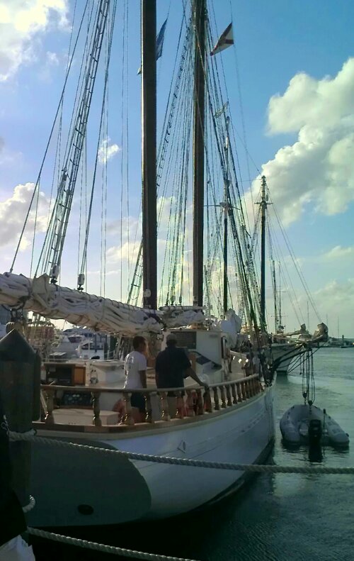 IMAG0688-1-2.jpg image