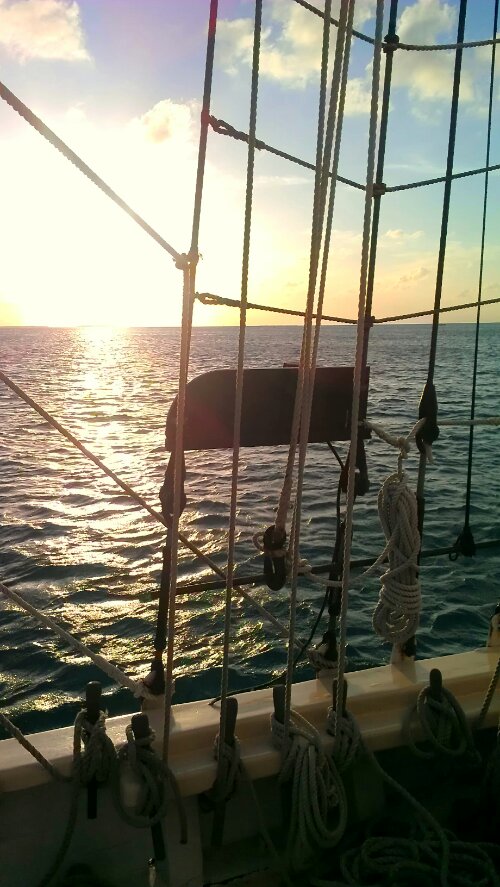 IMAG0691-1.jpg image