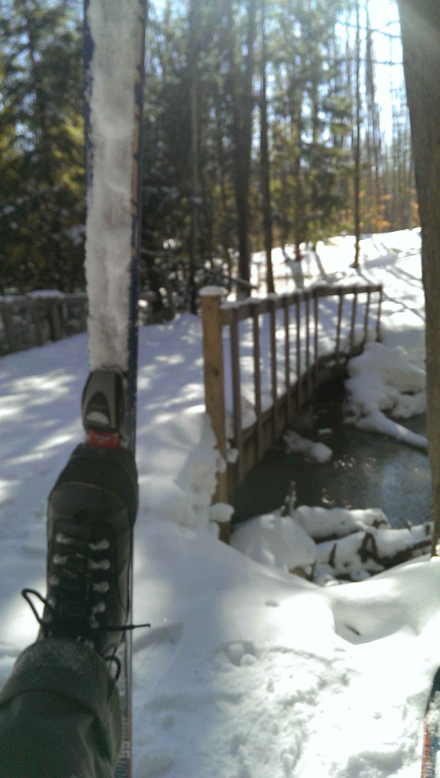 wp-1393857520785 image