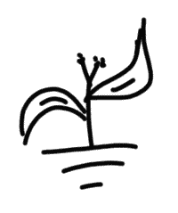 A meditation on Love